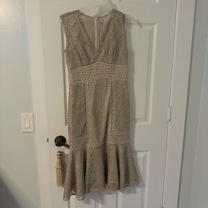 Adrianna Papell Silver Dress